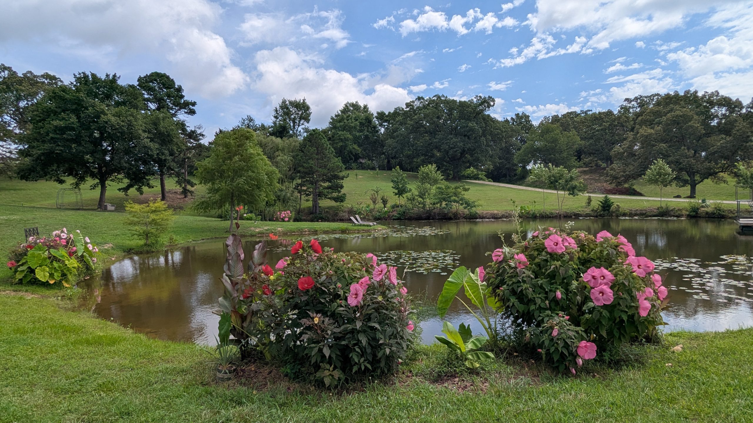View of the land and pond
