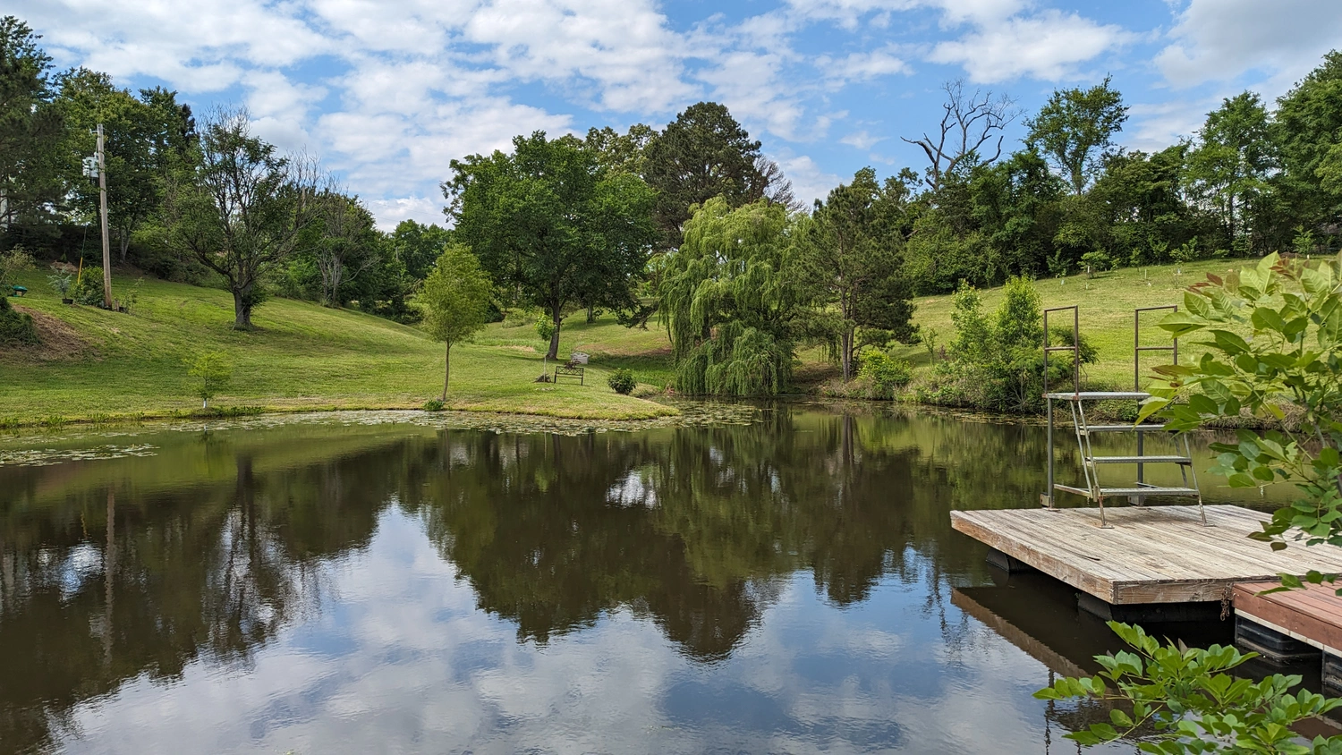Pond with dock and weeping willow